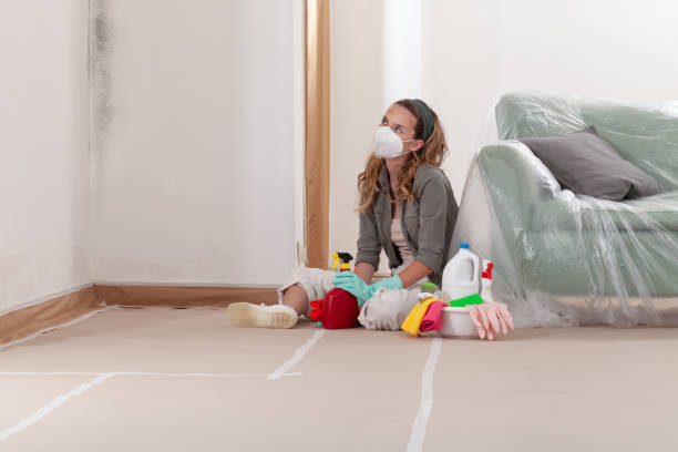 Reliable Mold Removal contractor in Rancocas, NJ by WQB Mold Removal